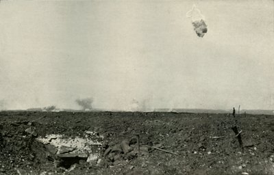 Villakarhu, 1919. tekijältä Unbekannt