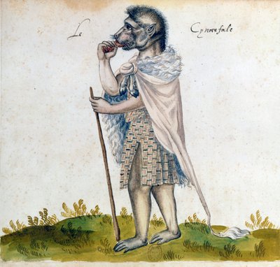 Kynokefalus, 1400-luku tekijältä Unbekannt