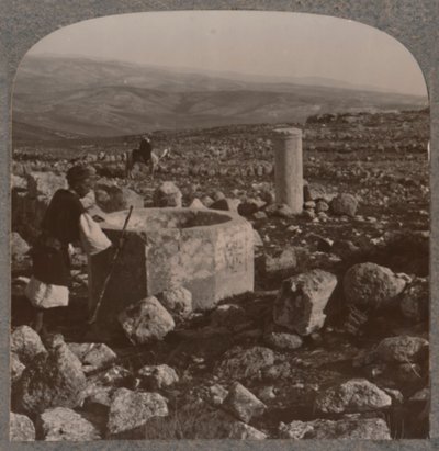 Tekoan rauniot, 1900 tekijältä Unbekannt