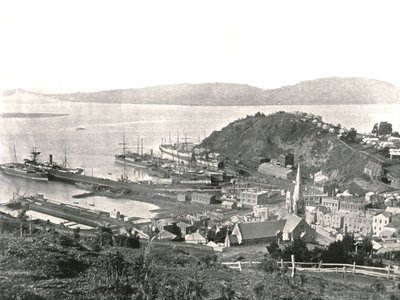 Kaupunki ja satama, Port Chalmers, Uusi-Seelanti, 1895. tekijältä Unbekannt