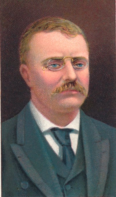 Theodore Roosevelt 1858-1919, Yhdysvaltain 26. presidentti, 1906 tekijältä Unbekannt