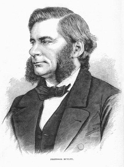 Thomas Henry Huxley, brittiläinen biologi, 1860-luku tekijältä Unbekannt