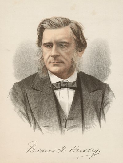 Thomas Henry Huxley, englantilainen biologi, 1880 tekijältä Unbekannt