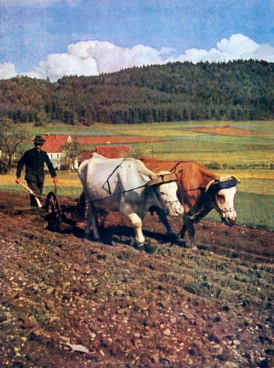 Tilling, Saksa, 1943 tekijältä Unbekannt