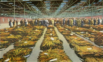 Tobacco Sale, aina mielenkiintoinen kohtaus, 1942. tekijältä Unbekannt