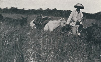 Matka pampoilla, 1916 tekijältä Unbekannt