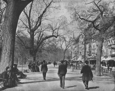 Tremont Street and The Common, Boston, USA, c1900. tekijältä Unbekannt