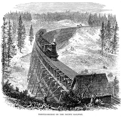Trestle Bridge Union Pacific Railroadissa, USA, 1876 tekijältä Unbekannt