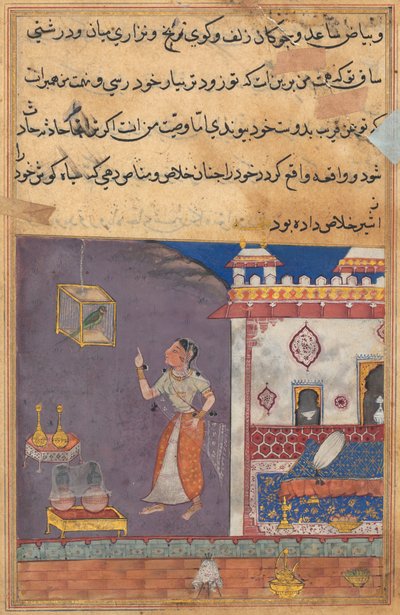 Tuti-Nama Tales of a papukaija: Tarina XXIX, pieni ilves syrjäytti luolastaan leijonan #XIV, n. 1560. tekijältä Unbekannt