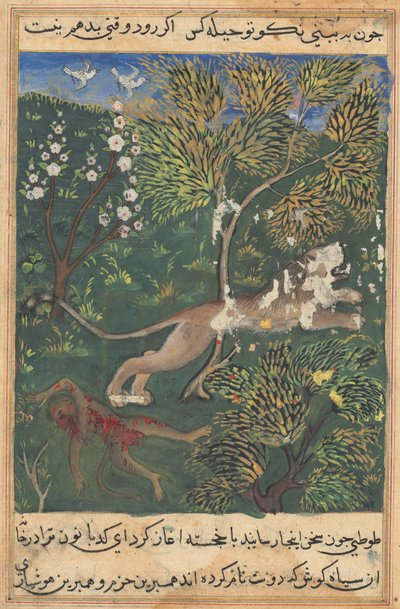 Tuti-Nama Papukaijan tarinoita: Tarina XXIX, c. 1560. tekijältä Unbekannt