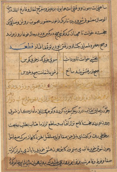 Tuti-Nama Tales of a papukaija, n. 1560. tekijältä Unbekannt