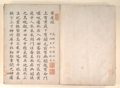 Kaksikymmentäneljä lapsellisen hurskauden esikuvaa, 1800-luku. tekijältä Unbekannt