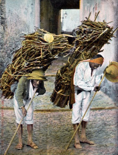 Kaksi miestä kantamassa puunippuja selässään, Meksiko, 1900-luvun alku tekijältä Unbekannt