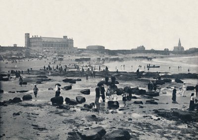 Tynemouth - The Aquarium and Sands, 1895 tekijältä Unbekannt