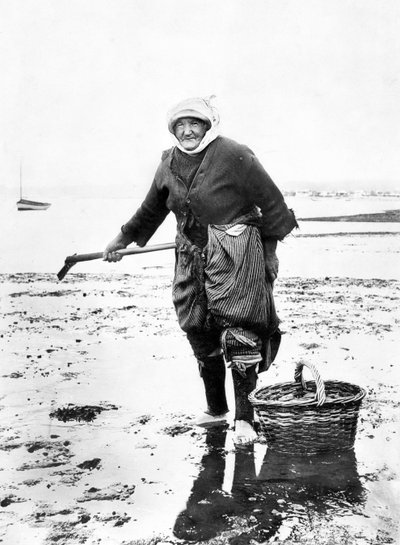 Iso-Britannia : Vanha nainen kerää simpukoita meren rannalla. c1890 tekijältä Unbekannt