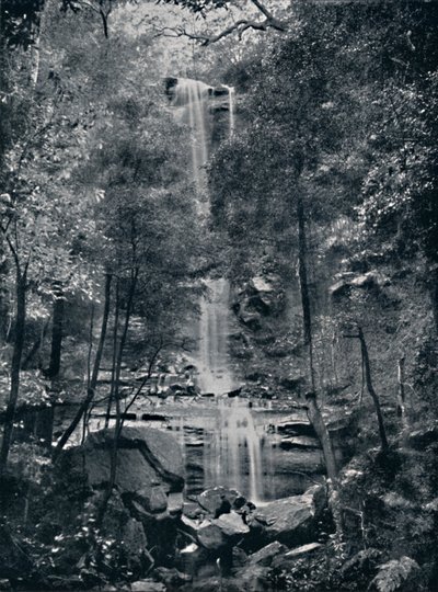 Valley of the Waters, Blue Mountains, c1900. tekijältä Unbekannt