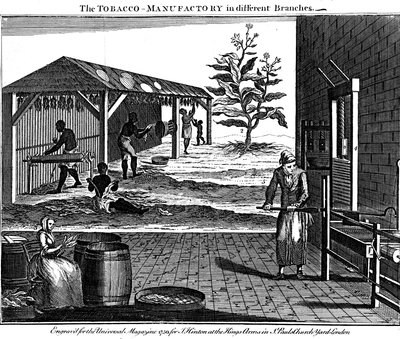 Tupakan tuotannon eri vaiheet, Virginia, USA, 1750 tekijältä Unbekannt