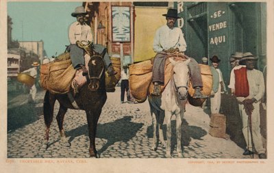 Kasvismiehet, Havanna, Kuuba, 1904 tekijältä Unbekannt