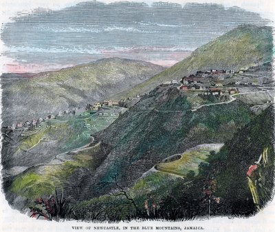 Näkymä Newcastlesta, Blue Mountainsissa, Jamaikalla, vuodelta 1880 tekijältä Unbekannt