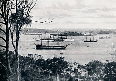 Näkymä Sydneyn satamaan North Shoresta, nro 1, c1900. tekijältä Unbekannt