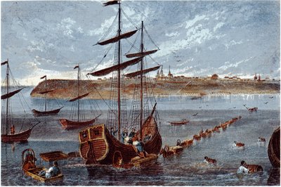 Näkymä Taganrogille, c. 1840 tekijältä Unbekannt
