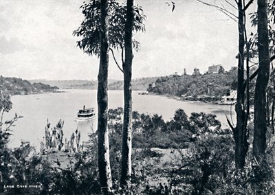 Näkymä Lane Cove -joelle, c1900. tekijältä Unbekannt