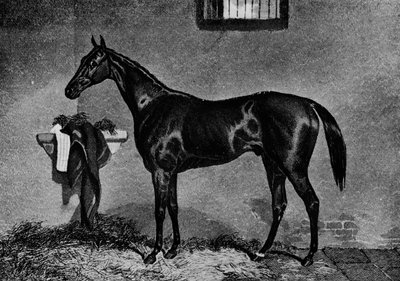 Voltigeur, 1847-1874, 1911 tekijältä Unbekannt