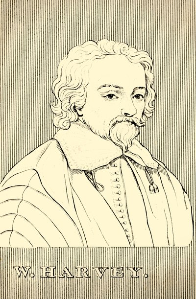 W. Harvey, 1578-1657, 1830. tekijältä Unbekannt