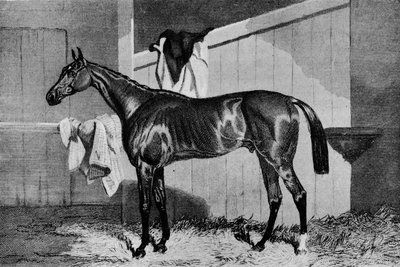 Warlock, 1800-luku, 1911 tekijältä Unbekannt