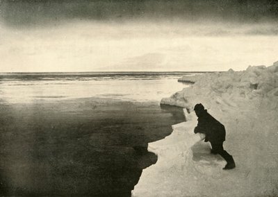 Hylkeiden katselu jääreunassa, c1908, 1909. tekijältä Unbekannt