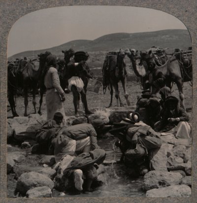 Kameleiden kastelua Jacobs Wellissä, c1900 tekijältä Unbekannt