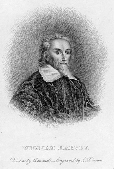 William Harvey 1578-1657 englantilainen lääkäri, 1600-luku tekijältä Unbekannt
