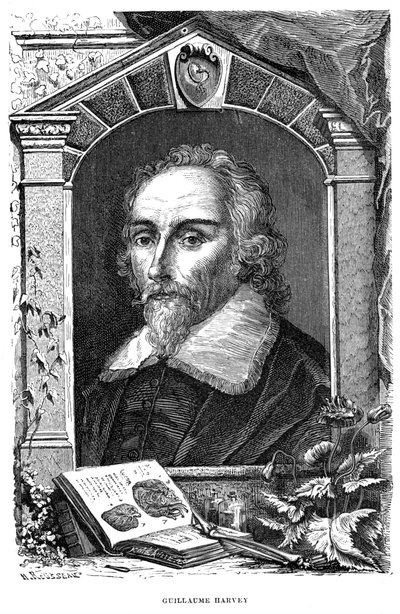 William Harvey 1578-1657 englantilainen lääkäri, 1600-luku tekijältä Unbekannt