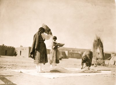 Viljelyvehnä - San Juan 1905 (kuva) tekijältä Unbekannt
