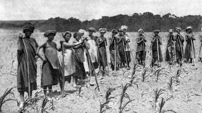 Naiset kaivaamassa maissipeltoa, Etelä-Afrikka, 1923 tekijältä Unbekannt