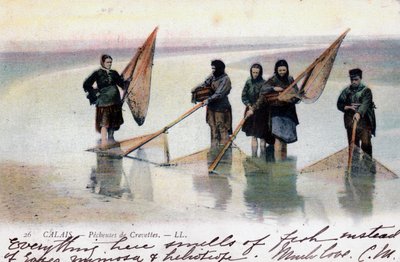 Naiset katkarapujen kalastajat, Calais, 1905 tekijältä Unbekannt