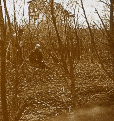 Puu, 1914-1918 tekijältä Unbekannt