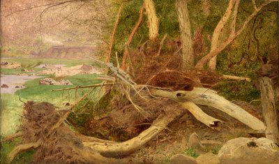 Metsäinen maisema sillalla, n. 1860-1870. tekijältä Unbekannt
