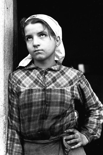 Nuori tyttö työskentelee oliivien poimijana Calabriassa, Italiassa, n. 1955 (b/w kuva) tekijältä Unbekannt