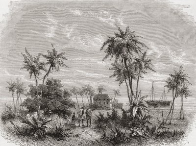 David Livingstonen talo Sansibarissa, Tunisiassa, Itä-Afrikassa, kuvitus teoksesta "The World in the Hands", kaiverrettu Henri Theophile Hildibrand (1824-97), julkaistu 1878 tekijältä Unbekannt Unbekannt