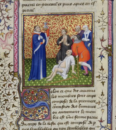 Ms.251 f.54v Lääkäri potilaiden kanssa, Des Proprietez des Choses, n. 1415 tekijältä Unbekannt Unbekannt