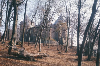 Näkymä Castle Coch, Etelä-Wales, metsästä tekijältä Unbekannt Unbekannt