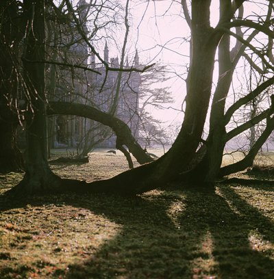 Näkymä pohjoisrintamalle, Corsham Court, Wiltshire tekijältä Unbekannt Unbekannt