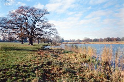 Näkymä järvelle, Corsham Court, Wiltshire tekijältä Unbekannt Unbekannt