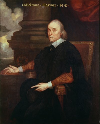 William Harvey (1578-1657) Kuninkaallinen lääkäri, 1600-luku tekijältä Unbekannt Unbekannt