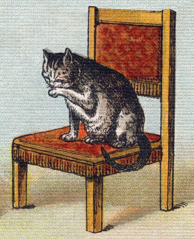Kissa tuolilla. Kaiverrus "Alphabet de ma petite fille". Bernardin-Bechet ja Fils, kirjakauppias-kustantajat, Pariisi, noin 1895. Rikkoutumaton albumi kankaalle. Bibliotheque des Bebes. 12 sivua. Albumi, joka sisältää lukumenetelmän ja havainnollisen abece tekijältä Unbekannt