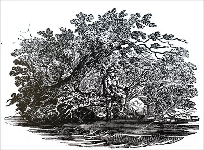 Kalastaja tekijältä Unbekannt