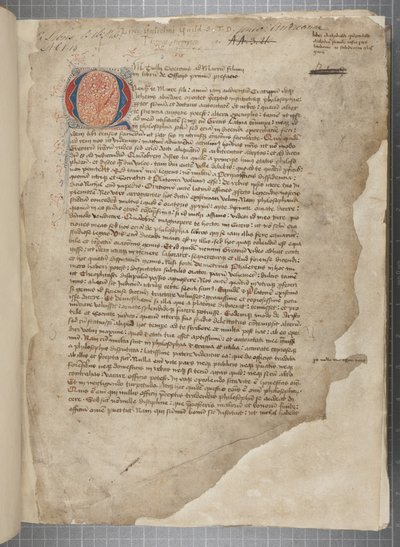 Marcus Tullius Ciceron filosofisten teosten transkriptio, kolmessa kädessä, ilmeisesti otettu vuoden 1471 editio romanasta, marginaalit Archibald Whitelawin ja muiden käsissä, n. 1480 (muste pergamentille) tekijältä Unbekannt