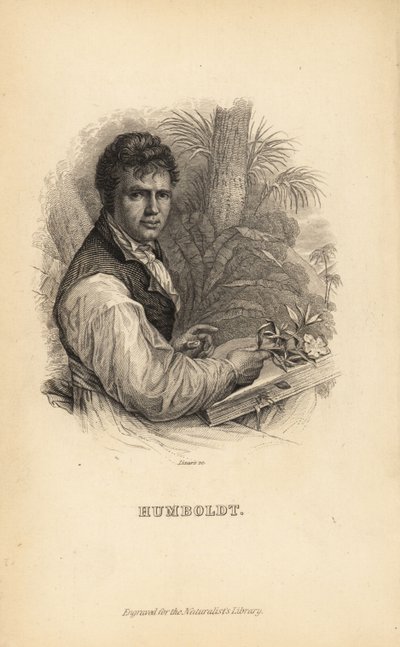 Alexander von Humboldt, saksalainen tutkimusmatkailija, luonnontieteilijä ja kasvitieteilijä tekijältä Unbekannt