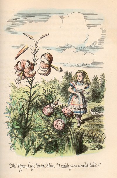 Liisa Ihmemaassa & Through the Looking Glass, Lewis Carroll, kuvittanut John Tenniel tekijältä Unbekannt